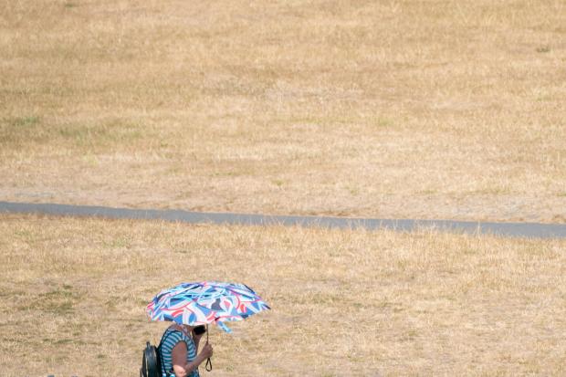 A woman uses an umbrella to shade herself from the sun in Greenwich Park (photo: PA)