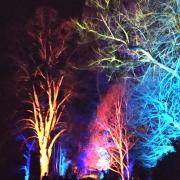 Winter Lights at Waddesdon Manor
