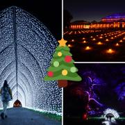 See what Christmas Lights trails you can visit in London.
